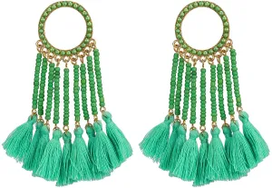 Tassel Dangle Drop Earrings Handmade Bohemian Ethnic Statement Seed Beaded Waterfall Shape Earring For Women Girls